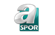 A SPOR HD Kanalı, D-Smart
