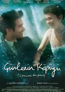 Günlerin Köpüğü - Lecume Des Jours izle