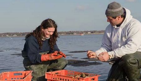 İstiridye Avcısı - Oyster Farmer izle